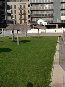 韦斯卡Acogedor apartamento con piscina y garaje的建筑物前草地上的两把伞