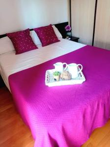 韦斯卡Acogedor apartamento con piscina y garaje的一张带粉色毯子和两张马克杯的床
