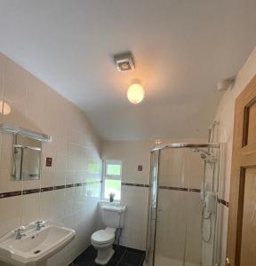 穆林加尔River Cottage的浴室配有卫生间、盥洗盆和淋浴。