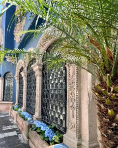 墨西哥城Casa Amari的花朵蓝色的建筑中华丽的大门