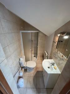 BorkiPokoje ZIELONY ZAKĄTEK的浴室配有卫生间、淋浴和盥洗盆。