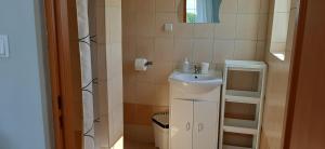 米耶伦科Kwatery Mielenko Patraj的一间带水槽和镜子的小浴室