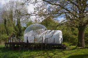 WanzeSleep in a bubble的树下木平台上的大型圆顶帐篷