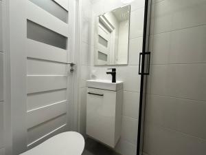 格但斯克MMRent Rose Room的一间带卫生间、水槽和镜子的浴室