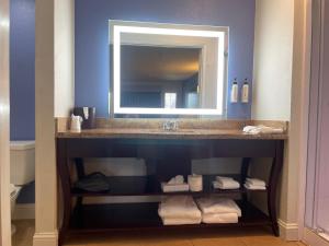 圣克鲁兹圣克鲁兹戴斯酒店的一间带水槽和镜子的浴室