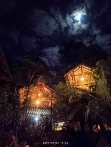 布桑加Sanctuaria Treehouses Busuanga的天空中月亮的夜晚建筑