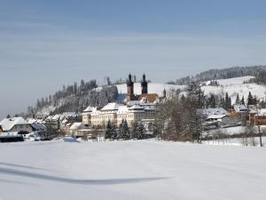 圣彼得伯格司徒布尔餐厅旅馆的一座有雪覆盖的田野,后方是一座城镇