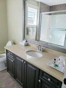 纳奈莫BlueBack BeachFront 2-Bedroom Private Apartment的一间带水槽、镜子和卫生间的浴室