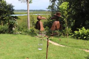 博卡斯德尔托罗Konsenda Bocas del Toro的一只鸟,上面有两只鸟