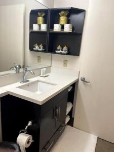 休斯顿Luxurious Escape FREE PARKING的一间带水槽和镜子的浴室