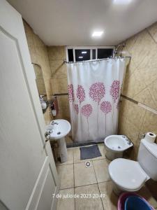Juana Koslay Departamentos las chacras的一间带卫生间和淋浴帘的浴室