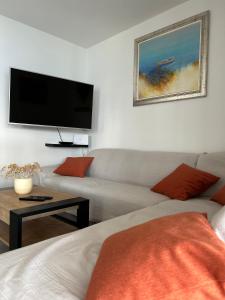 斯拉汀Apartment Rovci 1的带沙发和平面电视的客厅