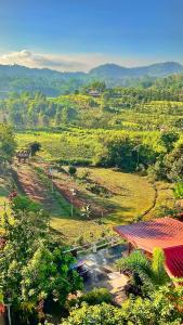 考科บ้านสุขอรุณ เขาค้อ Baan Sook A Roon KhaoKho的享有带建筑和树木的田野景色