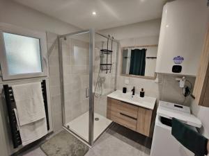Appartement moderne en rez de jardin - La Cascade的带淋浴和盥洗盆的浴室