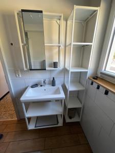 卡佩尔罗德克s`Lähmes auf der Schwend的一间带水槽、镜子和书架的浴室