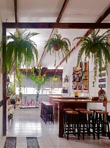 塔拉波托Piccolo Bed & Breakfast的厨房设有酒吧,配有椅子和植物