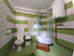 思贝儿Pensiunea Mioritica的绿色和白色的浴室设有卫生间和淋浴。