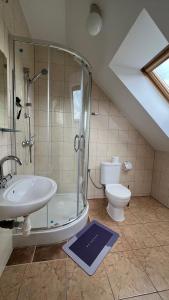 库瑞尼卡慕斯卡Kraken-pokoje gościnne的带淋浴、盥洗盆和卫生间的浴室