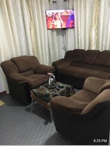 纳奥亚Ansi Villa的客厅配有两张沙发和一台电视机