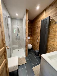 莱鲁斯Chalet Vieux Bois, au coeur du village des Rousses的带淋浴和卫生间的浴室