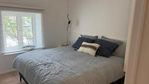 吕斯坦Pieds dans l'eau Private Wellness Bordure de Meuse的一间卧室配有一张带蓝色枕头的床和一扇窗户。