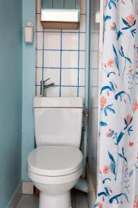 圣但尼Le NID du STADE de FRANCE的一间带卫生间和淋浴帘的浴室