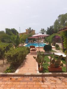 莫斯村Casa Nostra Villa Cellini的一个带仙人掌的花园和一个设有度假村的游泳池