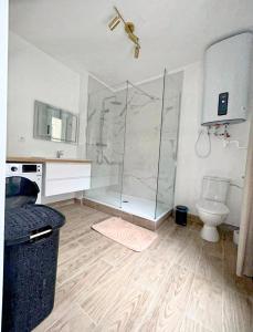 勒阿弗尔Maison Coty - Hypercentre/Plage的带淋浴和卫生间的浴室