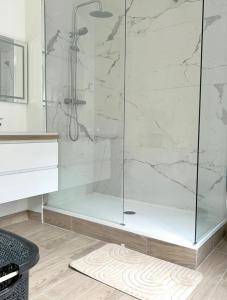 勒阿弗尔Maison Coty - Hypercentre/Plage的浴室里设有玻璃门淋浴