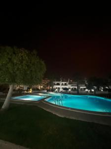 奥里韦拉Sea view apartment 2 BR costa blanca的夜间大型蓝色游泳池