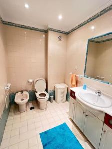 埃里塞拉T2 Ocean View House的一间带水槽、卫生间和镜子的浴室