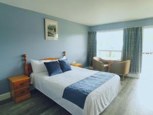 英戈尼什Glenghorm Beach Resort的一间卧室配有一张床、一张桌子和一个窗户。