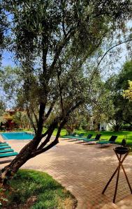 马拉喀什GreenLife Marrakech的一组躺椅,在泳池旁的树下