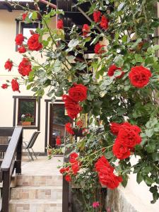 布什泰尼Casa cu Flori的一大束红玫瑰在一座建筑里长着