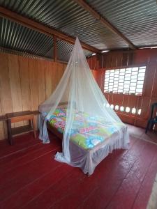 莱蒂西亚Hostal Búho Amazonas tours的配有蚊帐的客房内的一张床位