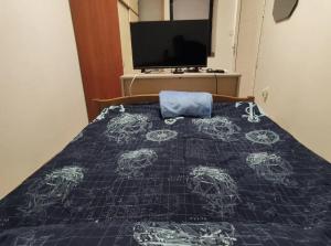 诺维·维诺多尔斯基Aretha apartman i sobe的一间卧室配有一张带蓝色棉被的床和一台电视