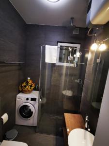 贝尔格莱德Apartman Jovana 2的带淋浴和洗衣机的浴室