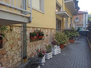 帕尔马Stanza Maggiore的旁边是种盆栽植物的建筑