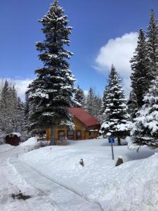 贾斯珀姜饼小屋旅馆的雪地里的小木屋,有一棵大树