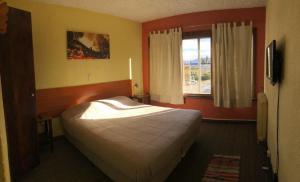圣卡洛斯-德巴里洛切Italia Inn Hostel的一间卧室设有一张大床和一个窗户。