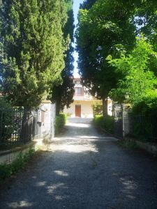 卡斯蒂戈隆·多尔希亚Casa Raffaello的通往有门和树木的房子的车道