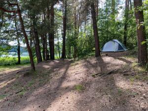 CimochowiznaOsada na Cyplu pole namiotowe i campingowe的森林中间的蓝色帐篷
