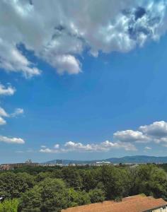 都灵Panoramic 7的享有蓝天的云层和树木美景