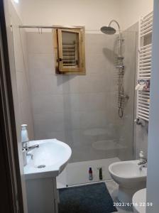 圣卡特琳娜迪纳德Villa Benny a Due passi dal mare的一间带水槽、淋浴和卫生间的浴室