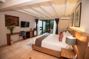 瓦哈卡市Nardazul "Casa de Sueños"的一间卧室配有一张床、一张书桌和一台电视