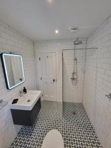 KilcolganTeresa's Cottage的白色的浴室设有水槽和淋浴。