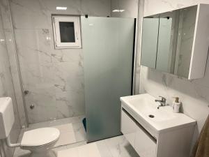 Dubrave GornjeApartment Paradise Enver的浴室配有卫生间、盥洗盆和淋浴。