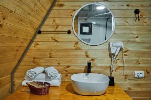 DashbashiPanorama Dashbashi - Hotel的浴室设有水槽和木墙镜子