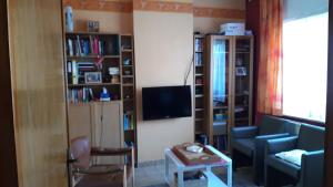 鲁汶Feel at home in Leuven的客厅配有沙发、电视和书架