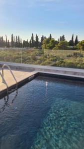 扎达尔Villa Queen的一座大型游泳池,在田野里拥有蓝色的水